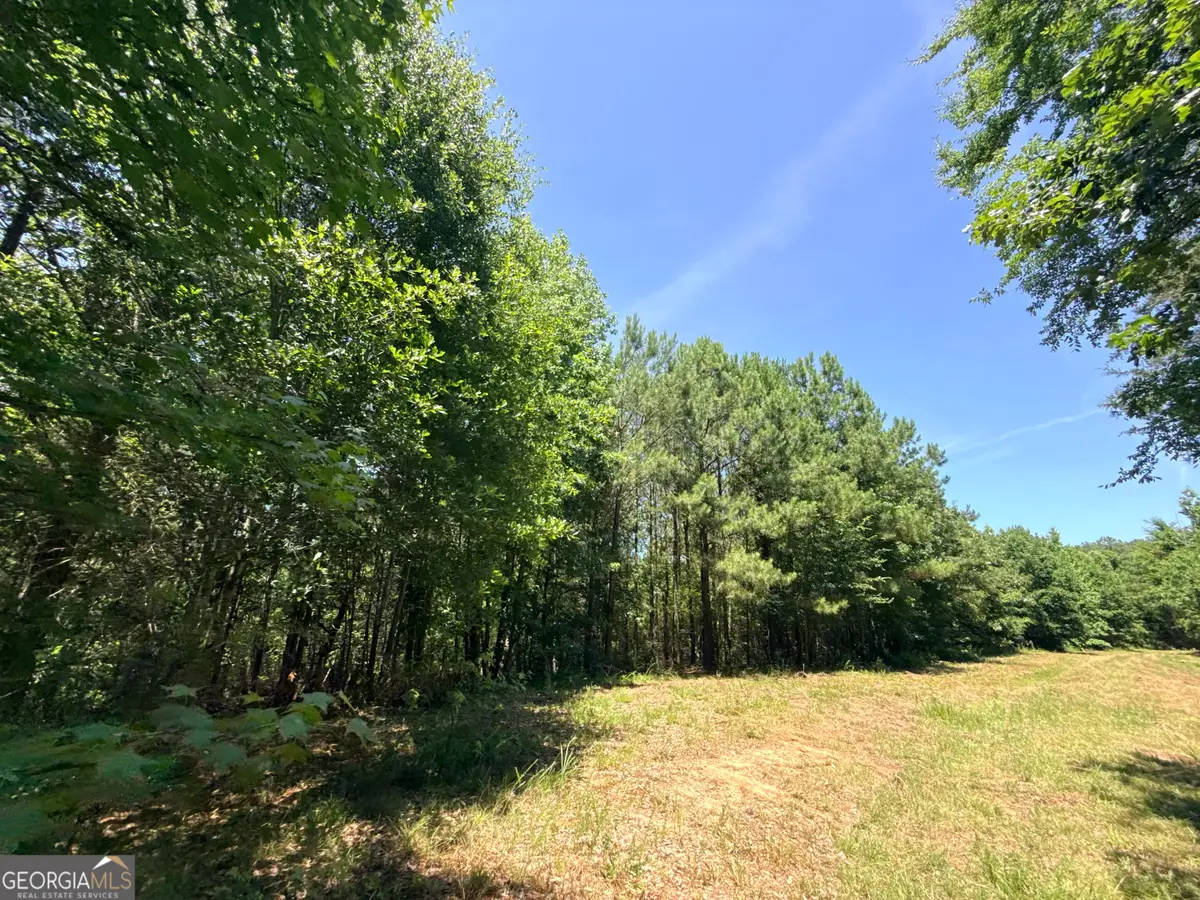 2807 Cedar Creek Rd, Elberton, GA 30635 - #1