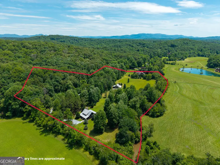 965 Bell Road #9 & 11, Mineral Bluff, GA 30559 - #3