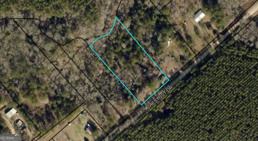 0 Chestnut Drive, Eastman, GA 31023 - #2