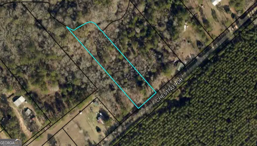 0 Chestnut Drive, Eastman, GA 31023 - #3