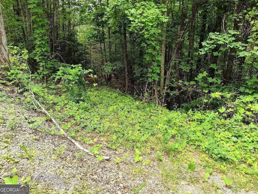 330 Adair Drive, Ranger, GA 30734 - #2