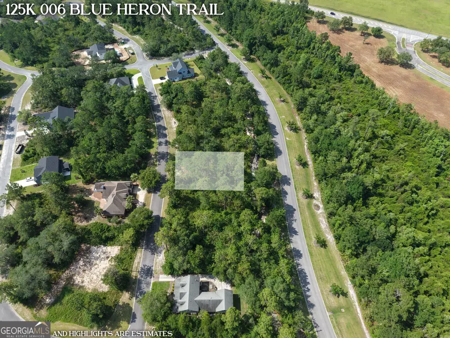 LOT 6 Blue Heron Trail, Waverly, GA 31565 - #3