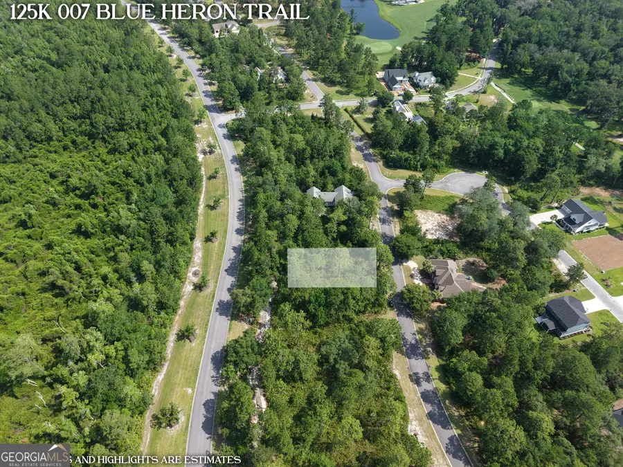 LOT 7 Blue Heron Trail, Waverly, GA 31565 - #2