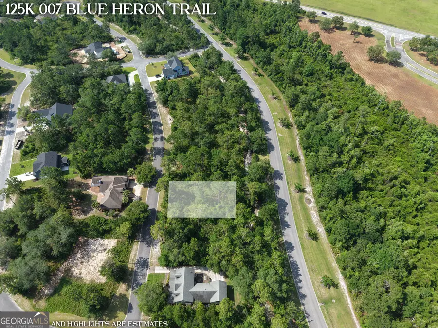 LOT 7 Blue Heron Trail, Waverly, GA 31565 - #3