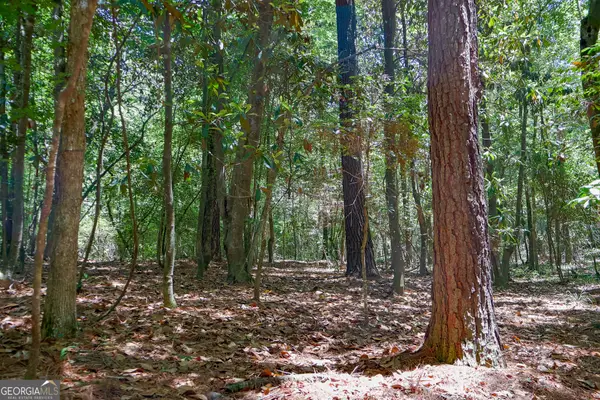 232 Crane Road, Cochran, GA 31014