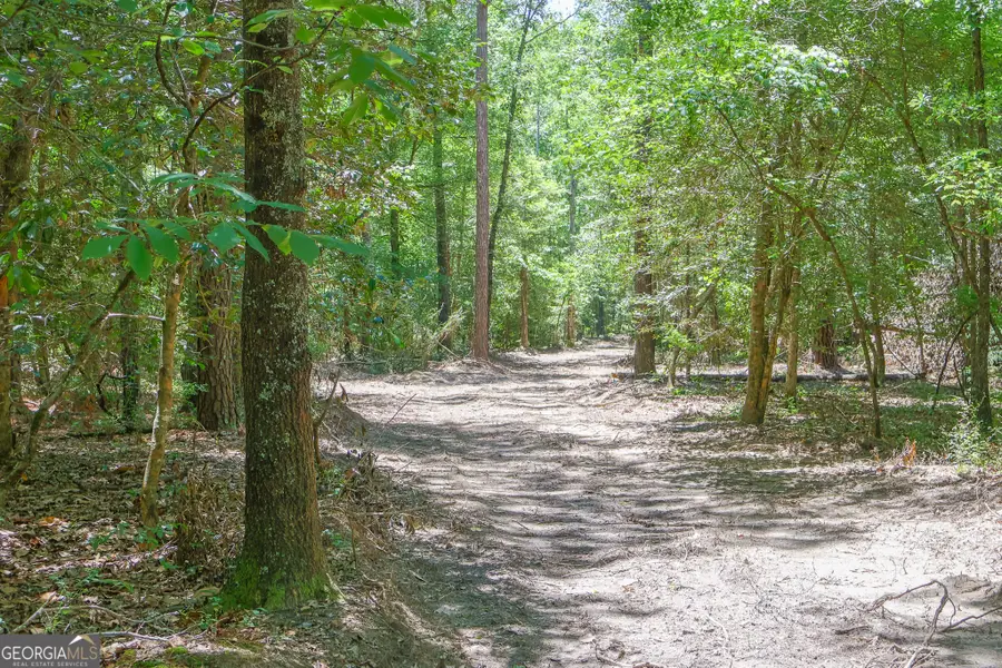 232 Crane Road, Cochran, GA 31014 - #3