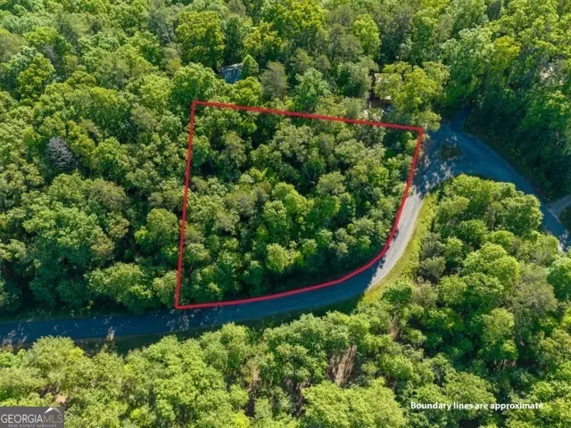 LOT 52 The Preserve Mountaintown Creek, Ellijay, GA 30540 - #2