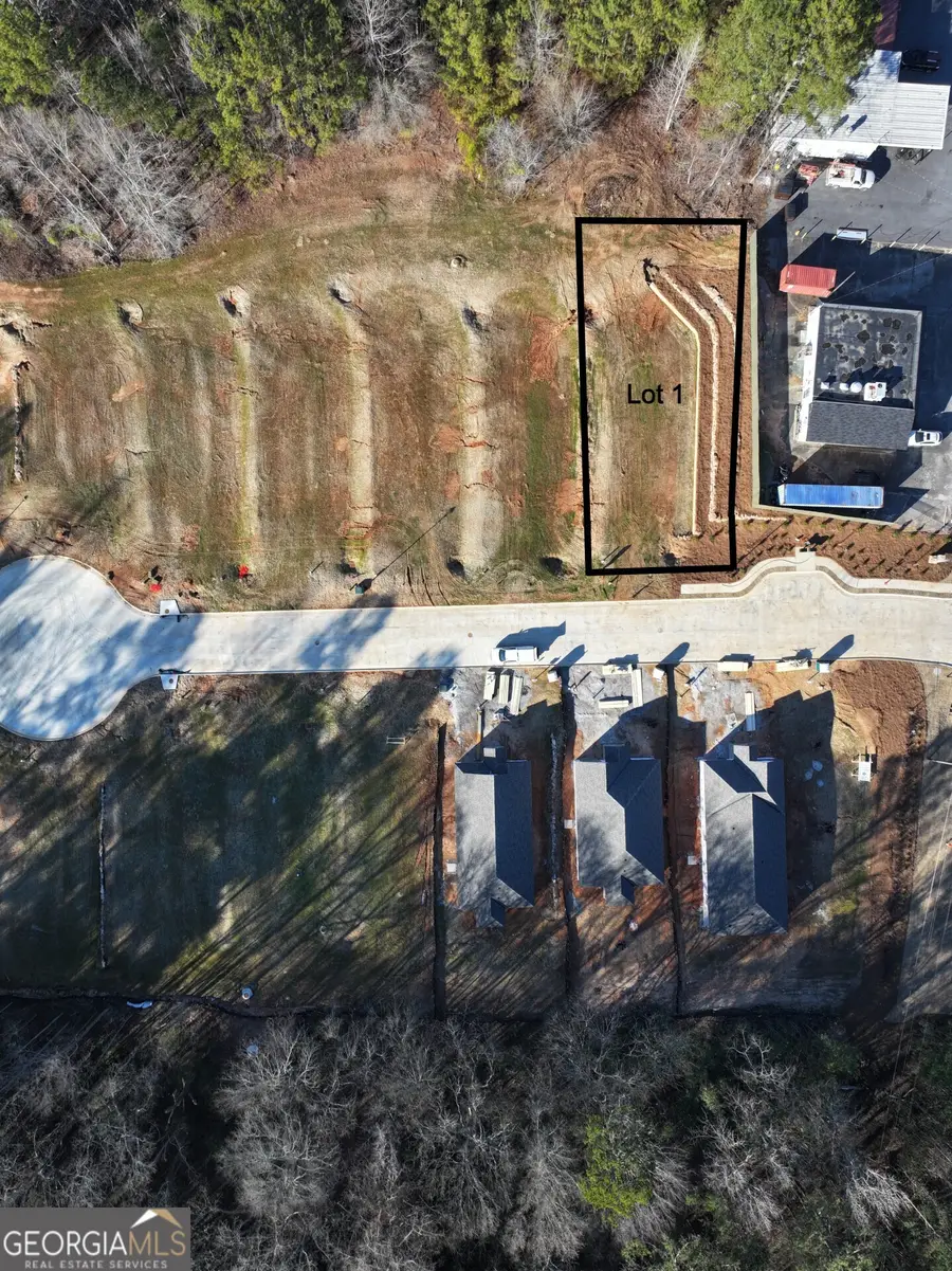 10 Rivers Edge Lane #LOT 1, Franklin, GA 30217 - #2