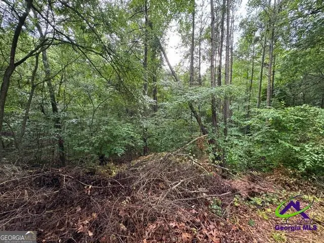 172 Waters Pointe, Lizella, GA 31052 - #1