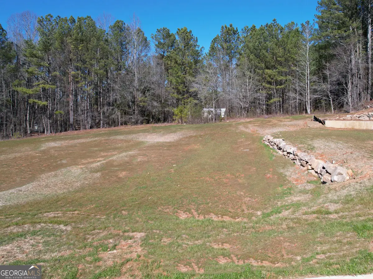 12 Rivers Edge Lane #LOT 2, Franklin, GA 30217 - #1