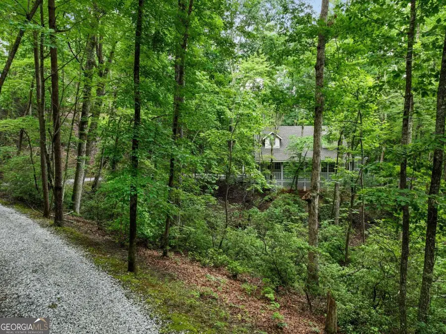 202 Crystal Hills Rd, Clarkesville, GA 30523 - #3