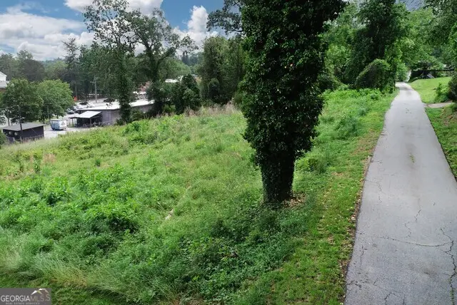 170 Tomlin Alley Alley, Demorest, GA 30535 - #2