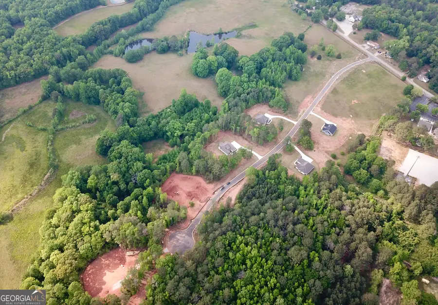 136 Hidden Meadows Dr, Gay, GA 30218 - #3