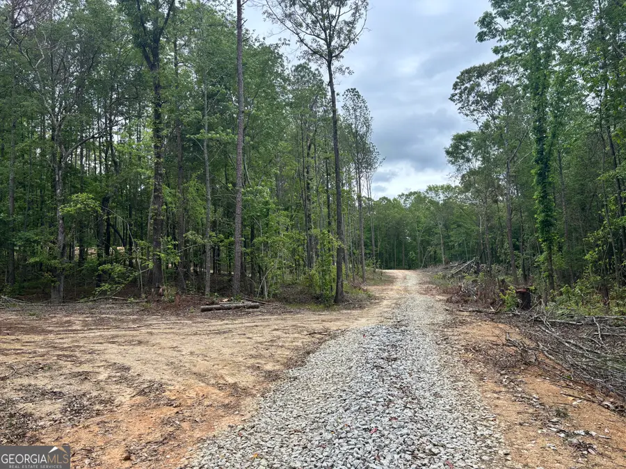 TRACT 2 343 County Road 892, Wedowee, AL 36278 - #2