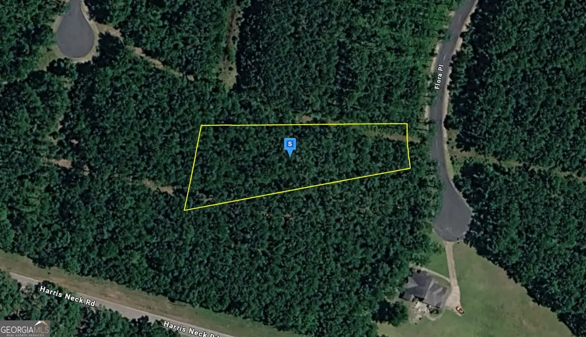 1110 Flora Place, Townsend, GA 31331 - #1