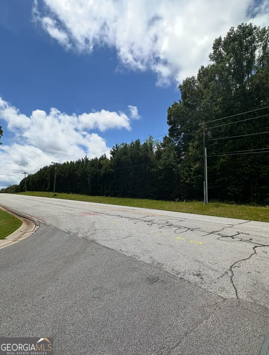 0 Bob Smith Road #10, Sharpsburg, GA 30277 - #3
