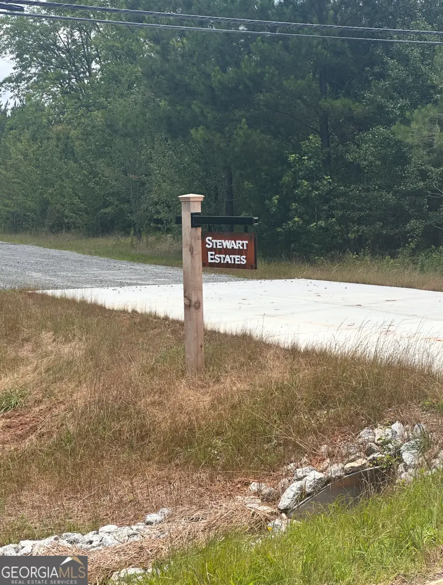 0 Bob Smith Road #11, Sharpsburg, GA 30277 - #2