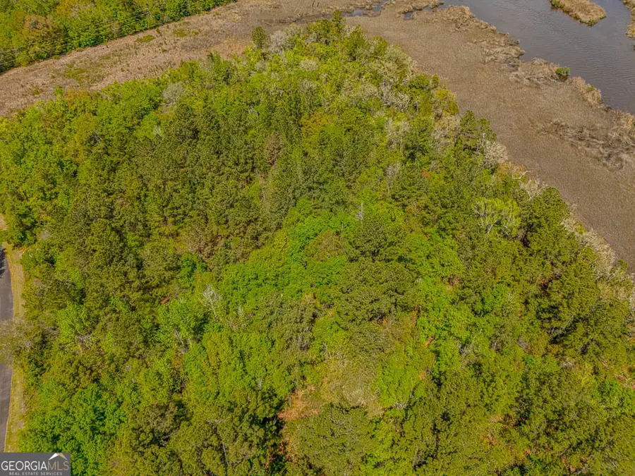 LOT 45 Matthews Launch, White Oak, GA 31568 - #2