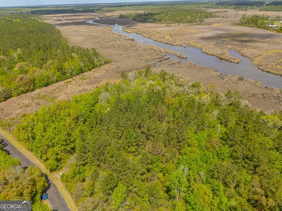 LOT 45 Matthews Launch, White Oak, GA 31568 - #3