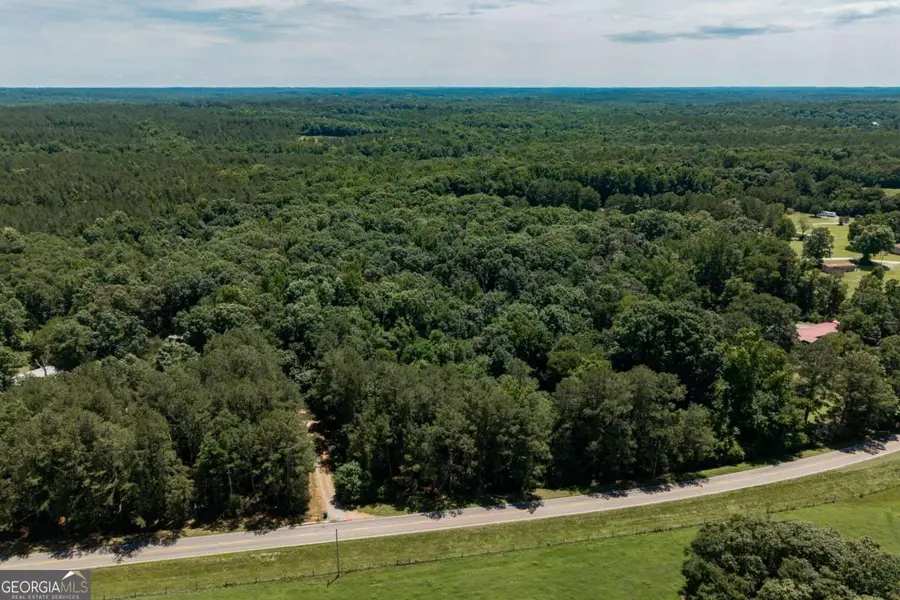 436 Watson Mill Road, Comer, GA 30629 - #2