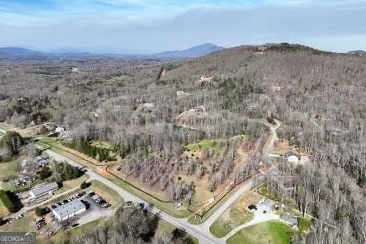 7.39AC Turner Ridge Drive, Cleveland, GA 30528 - #2