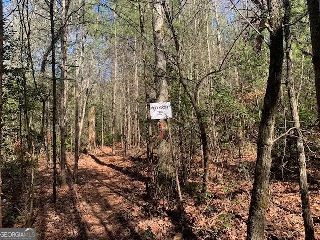 0 East New Hope Road #TRACT C, Ellijay, GA 30536 - #2