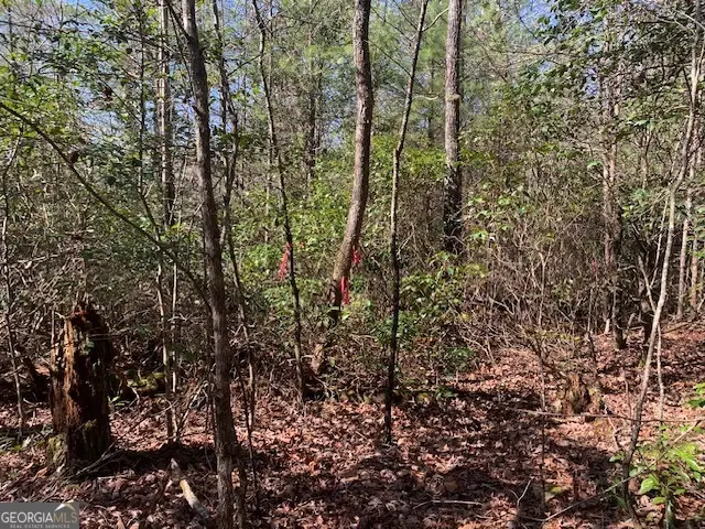 0 East New Hope Road #TRACT C, Ellijay, GA 30536 - #3