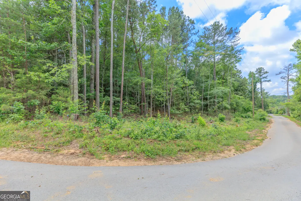 0 Wallaceville Cemetery Road, Chickamauga, GA 30700 - #1
