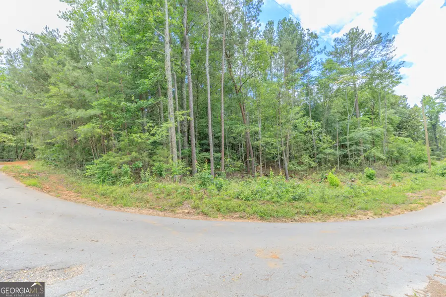 0 Wallaceville Cemetery Road, Chickamauga, GA 30700 - #2
