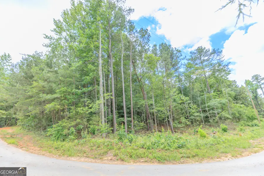 0 Wallaceville Cemetery Road, Chickamauga, GA 30700 - #3
