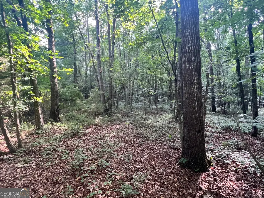 0 Craft Ferry Drive, Elberton, GA 30635 - #3