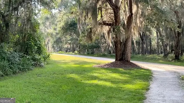 0 Wood Stork Drive, Darien, GA 31305