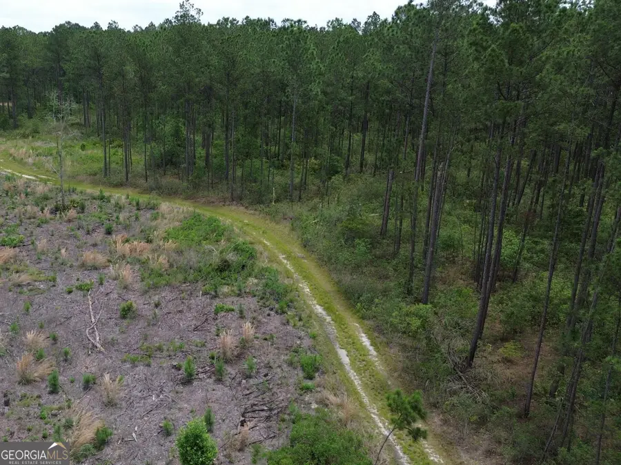01 Bay Branch Church Road, Claxton, GA 30417 - #2