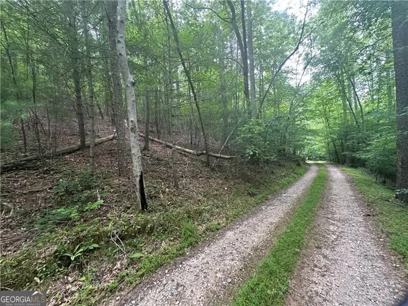 TRACT1 New Bethel Ch Road, Dawsonville, GA 30534 - #1