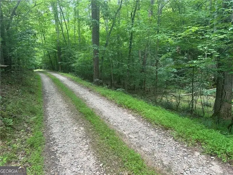 TRACT1 New Bethel Ch Road, Dawsonville, GA 30534 - #2