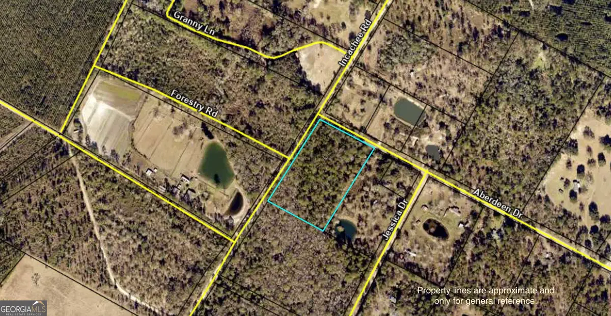 V/L 1 Aberdeen Drive, Waverly, GA 31565 - #1