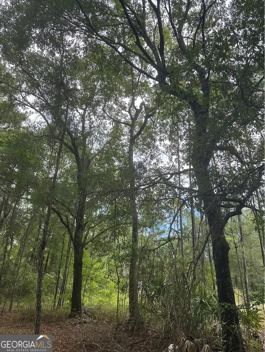 V/L 1 Aberdeen Drive, Waverly, GA 31565 - #2