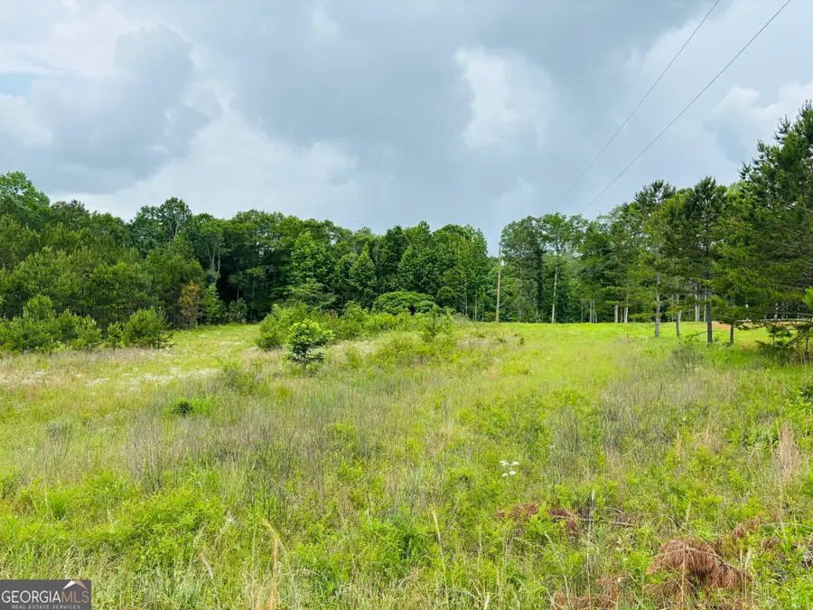 LOT 8 County Road 499, Woodland, AL 36280 - #2