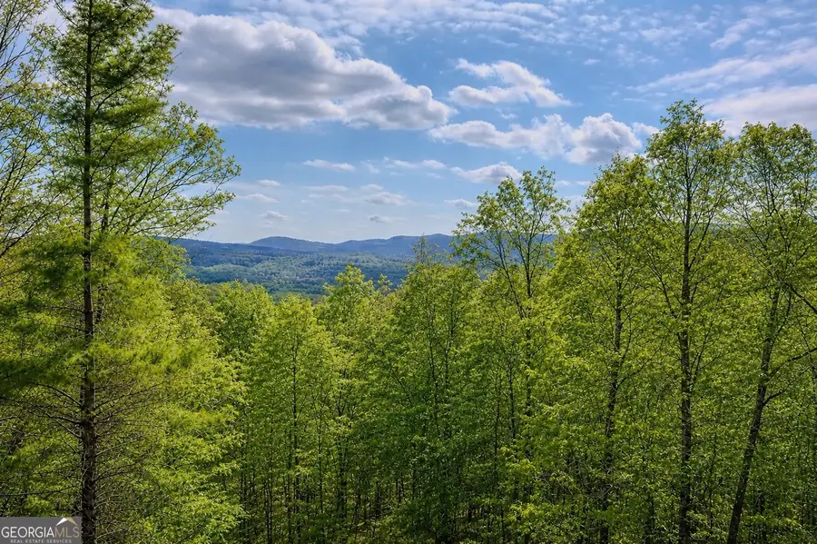 156 Sky High Drive, Ellijay, GA 30536 - #3