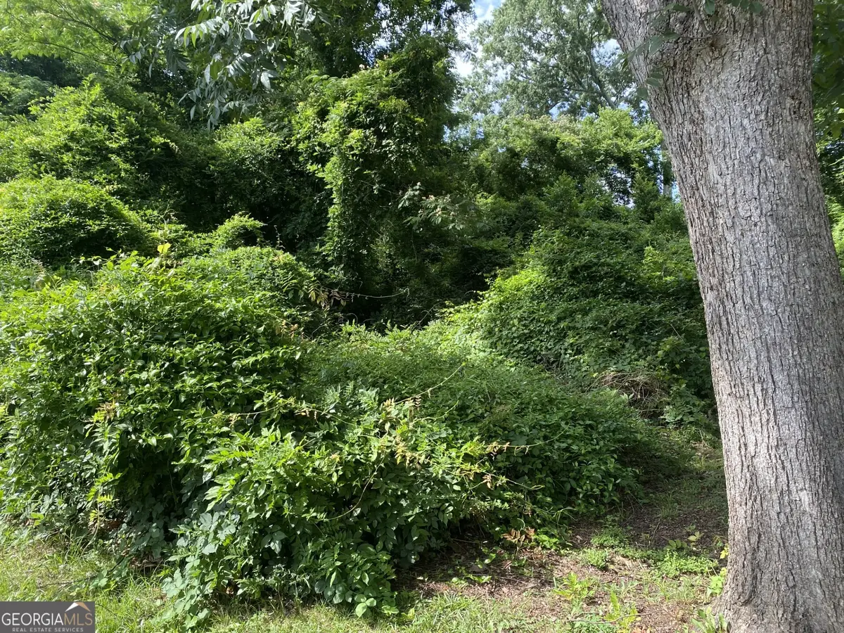 0 Dogwood North Avenue, Social Circle, GA 30025 - #1