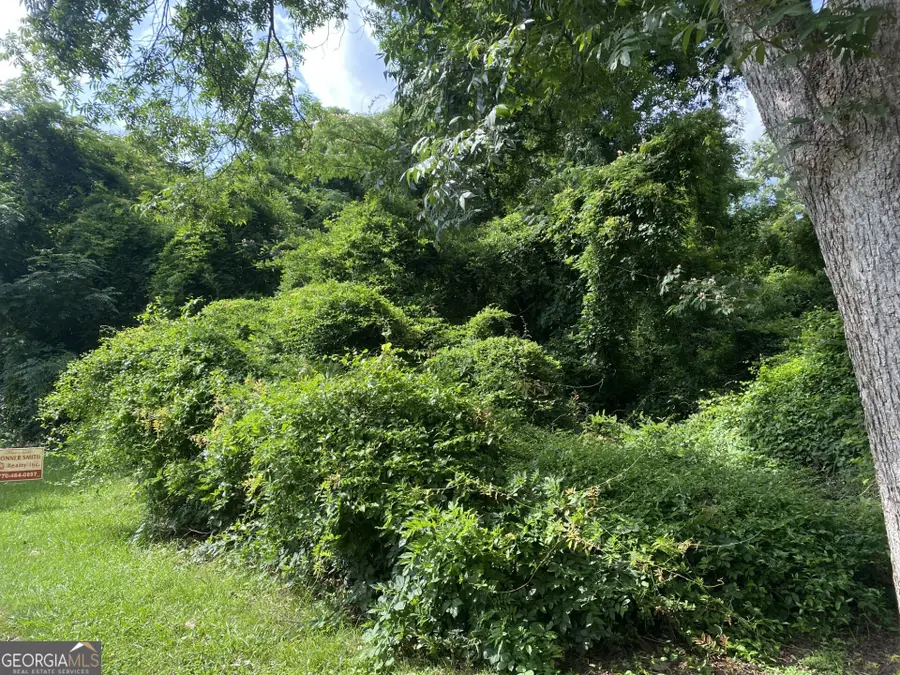 0 Dogwood North Avenue, Social Circle, GA 30025 - #3