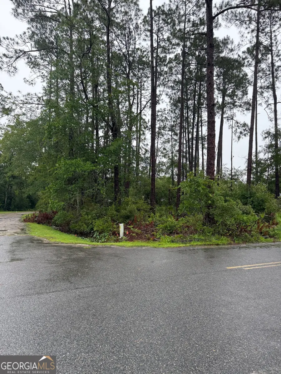 .30 Gibson Street, Nahunta, GA 31553 - #2