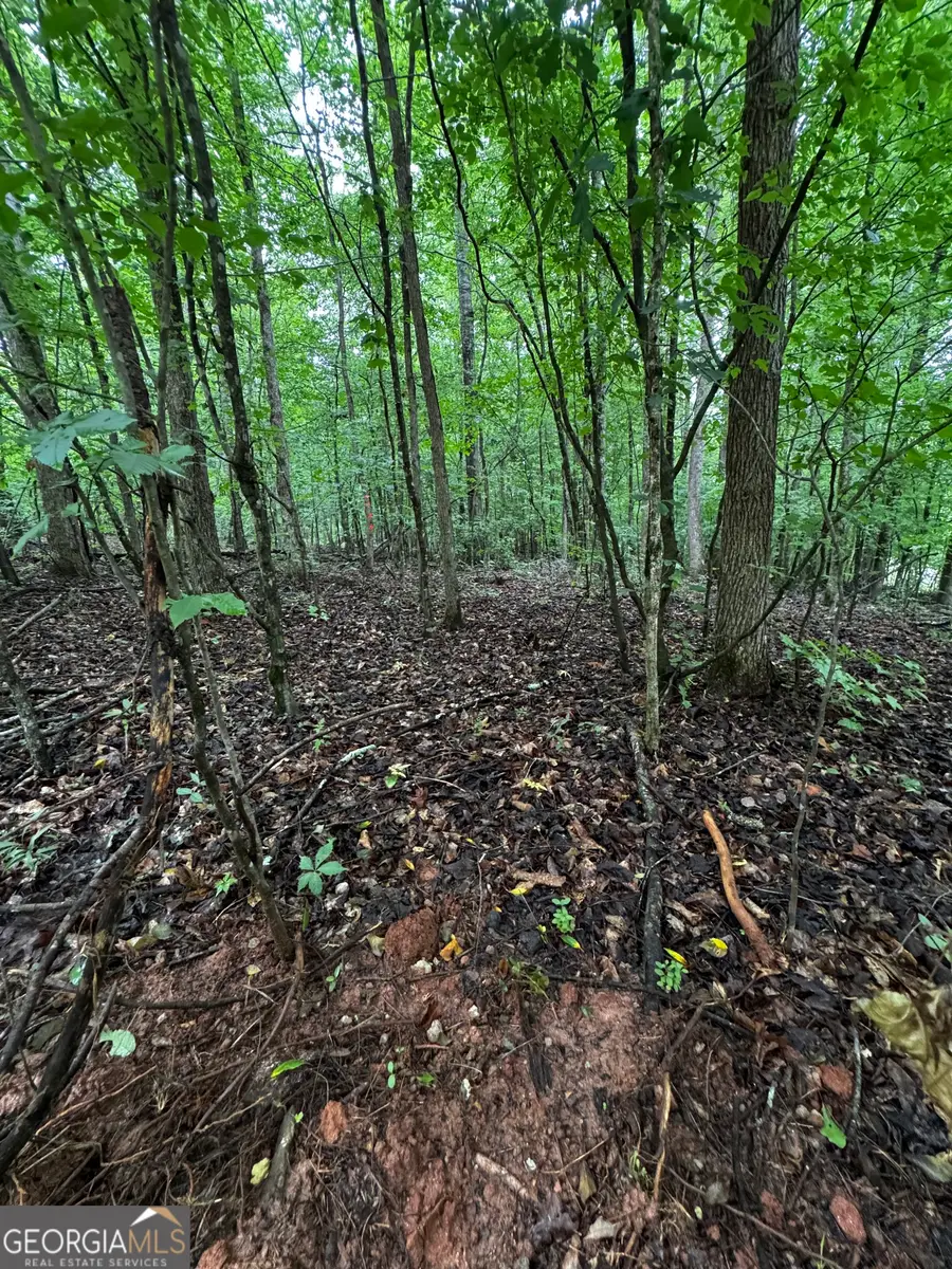 0 Wilson Bridge Road (4.78+/- Acres), Homer, GA 30547 - #3
