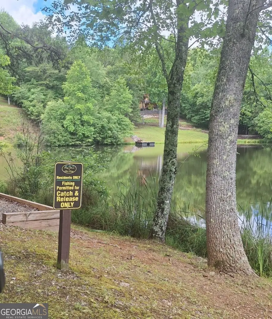 LOT 22 Meadow Brook Trail, Morganton, GA 30560 - #3
