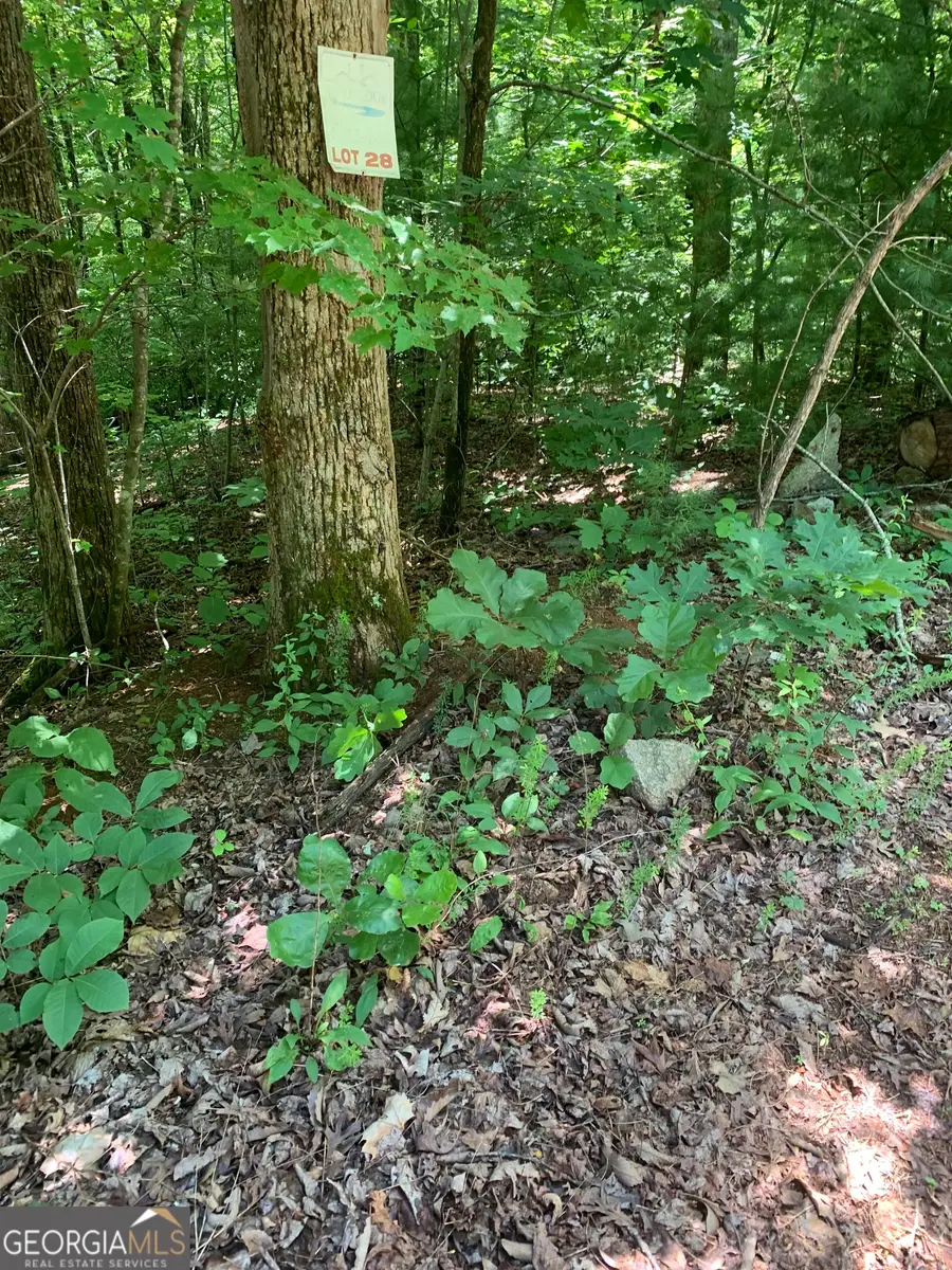 LOT 28 King Mountain Drive, Clayton, GA 30525 - #2