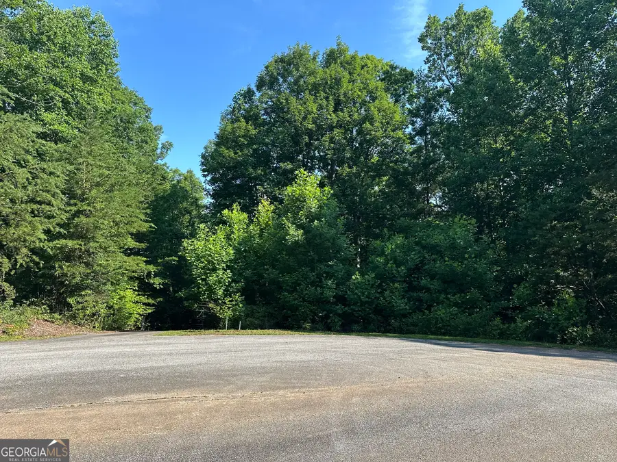 LOT 6,7,8,9,10 Clearview Drive, Cleveland, GA 30528 - #3