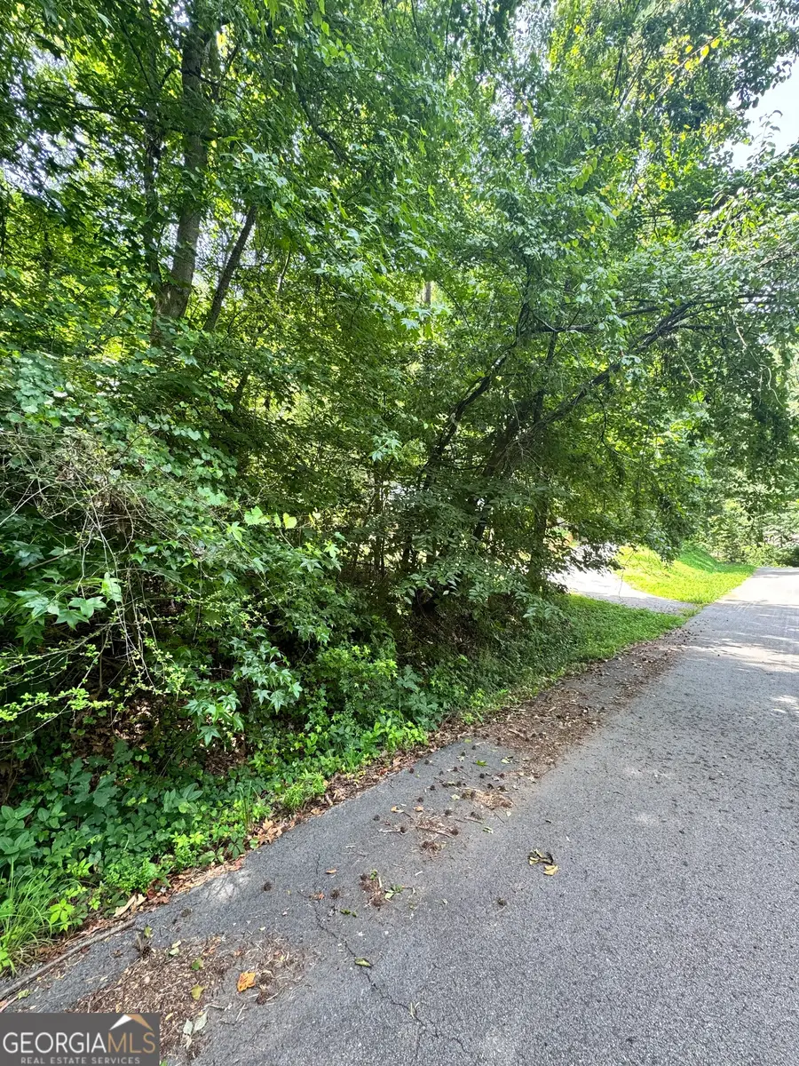 1469 Lakeside Trail, Martin, GA 30557 - #3