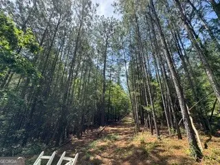 2062 Fisher Lane, Elberton, GA 30635 - #3