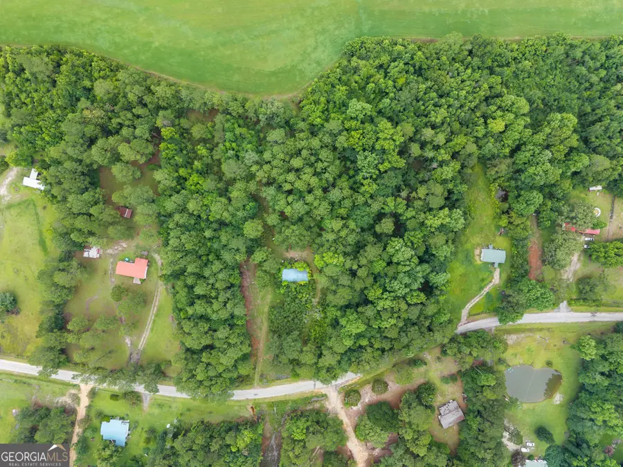 243 Buck Road, Sylvania, GA 30467 - #2