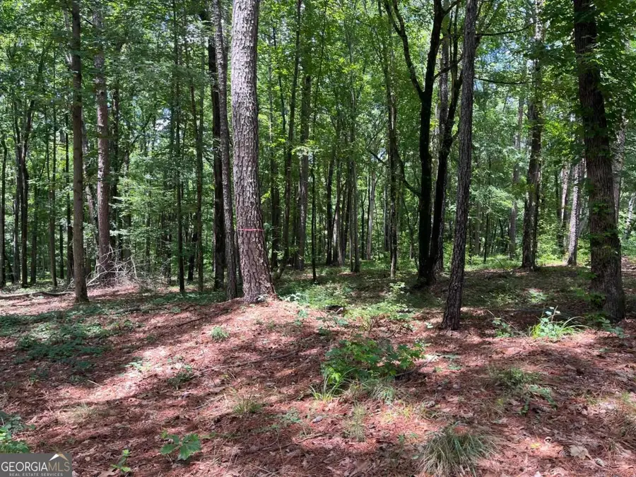 LOTS 1 & 2 Pullman Lane, Greensboro, GA 30642 - #2